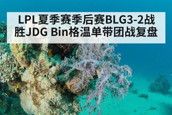 LPL夏季赛季后赛BLG3-2战胜JDG Bin格温单带团战复盘